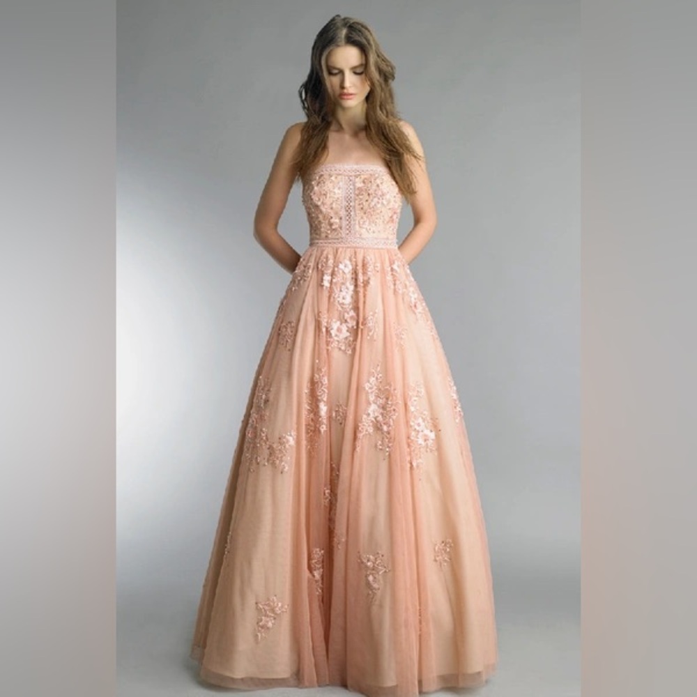 Basix Black Label Pink Strapless Floral Evening Gown Size 2